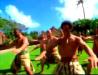  Oahu Luaus