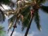  Oahu Activities