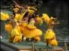  Oahu Tours